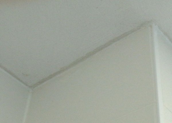 118480_plafond_1.jpg