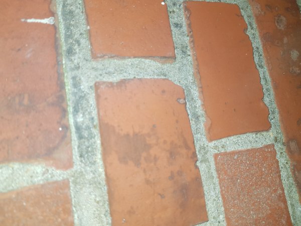 118611_1550598016524605954117842975671_1.jpg