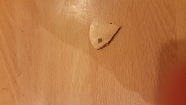 118806_20170321_000152_1.jpg