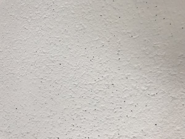 118905_139BA1177A1B4505A02E66C8BA62B04D_1.jpg
