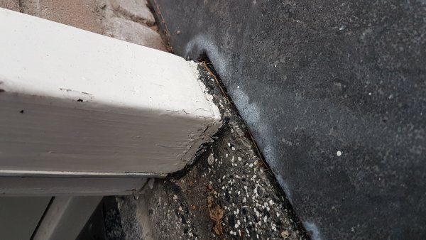 119021_20181119_160927_2.jpg