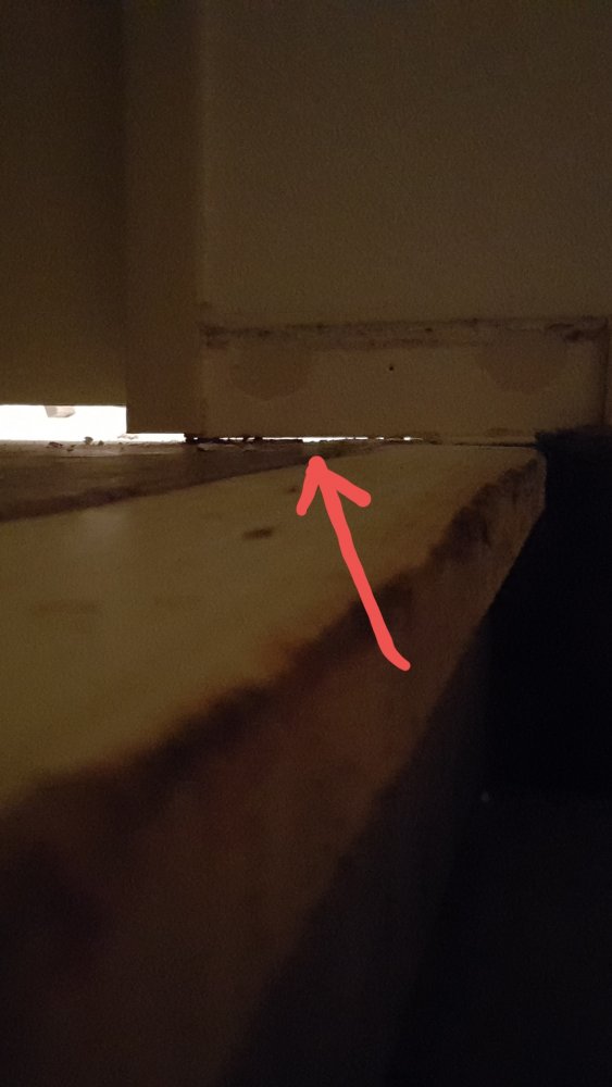 119146_20181028_220236_1.jpg