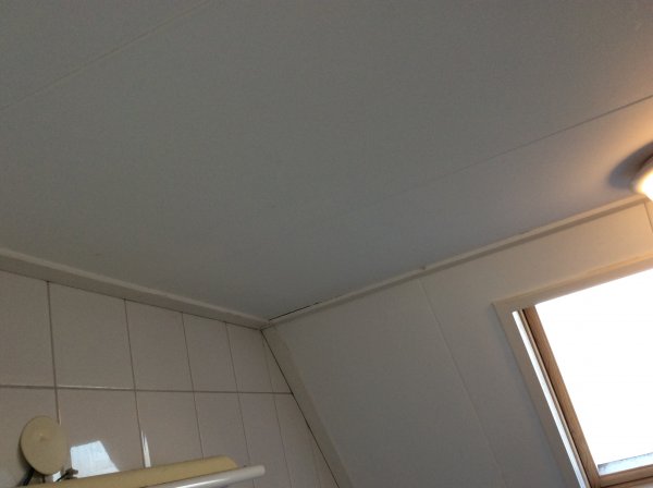 119156_0749482D525643AF83205120E72AE3C7_1.jpg