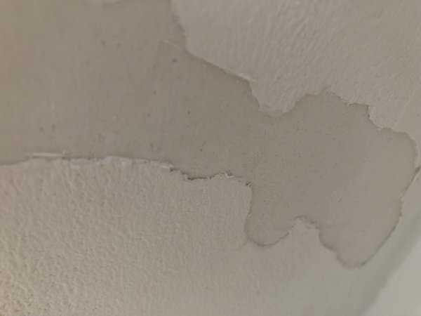 119237_20181118_134615_1.jpg