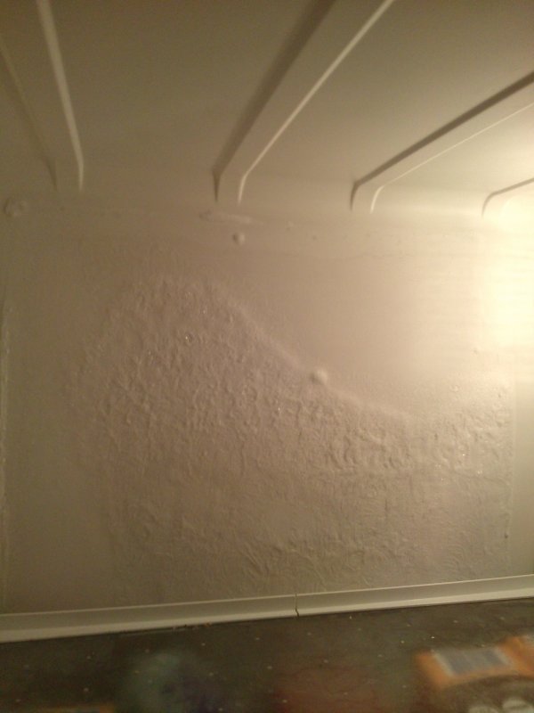 119241_CAM00031_1.jpg