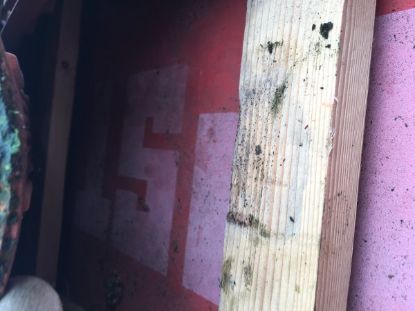 119250_IMG_3223_1.jpg