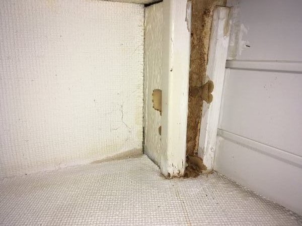 119372_20180122_142700609_iOS_2.jpg