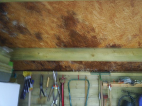 119618_PIC_0001_1.jpg