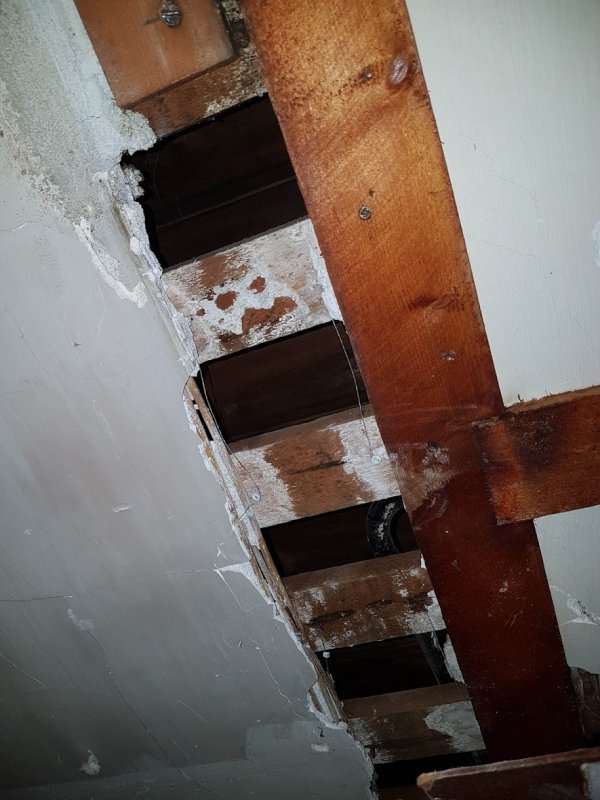 119629_plafond_1.jpg