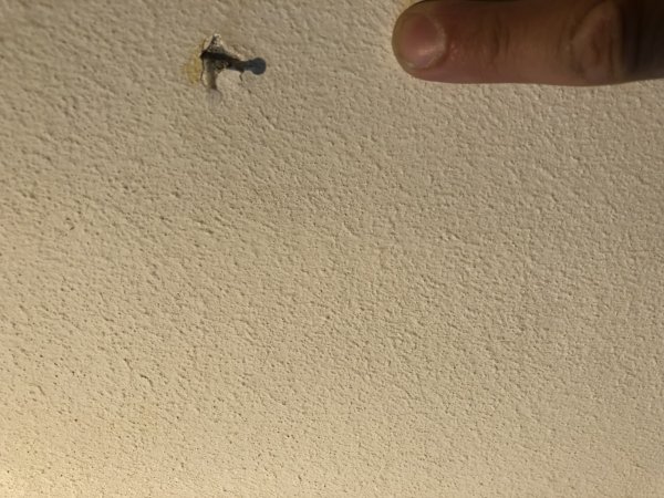 119666_8C48FE1CCD42494896C90DC88605AADE_1.jpg