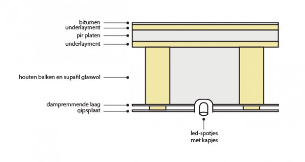 120004_Artboard_12x_1.jpg