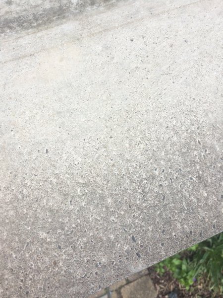 120160_IMG0955_1.jpg