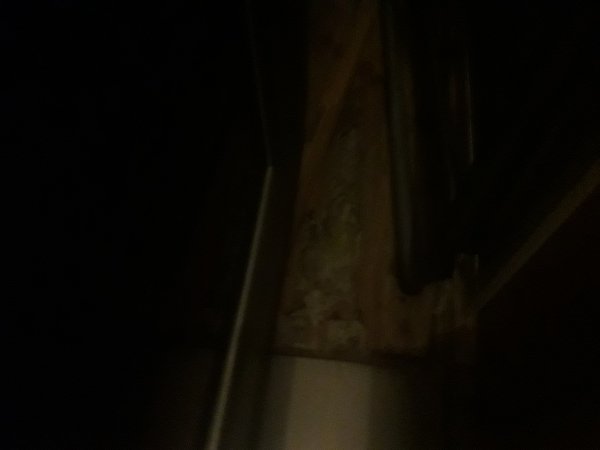 120226_20180424_021054_2.jpg