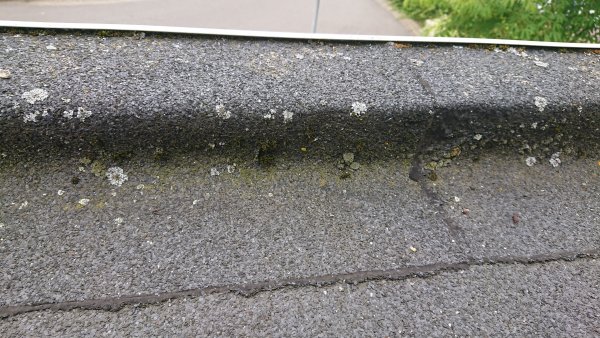 120444_DSC_0405_1.jpg