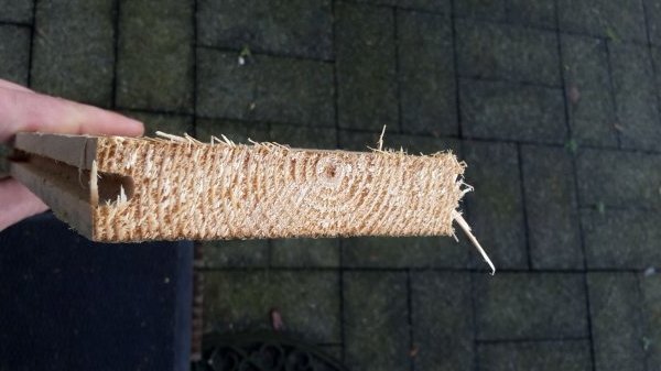 120718_Plank3_1.jpg