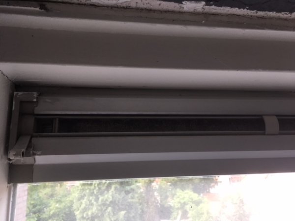 120753_IMG_5097_4.jpg
