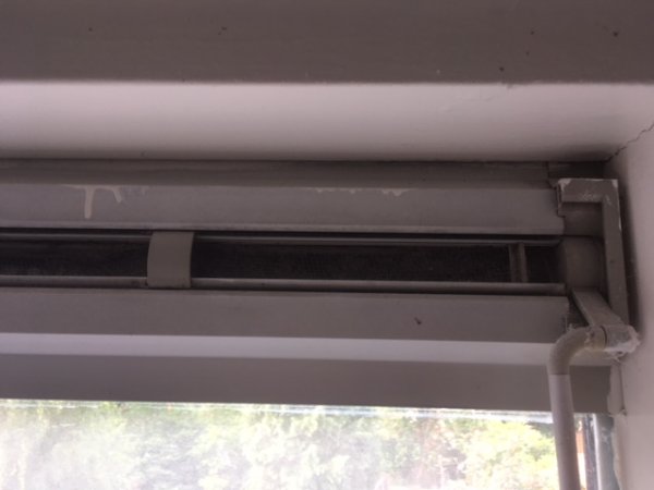 120753_IMG_5098_1.jpg