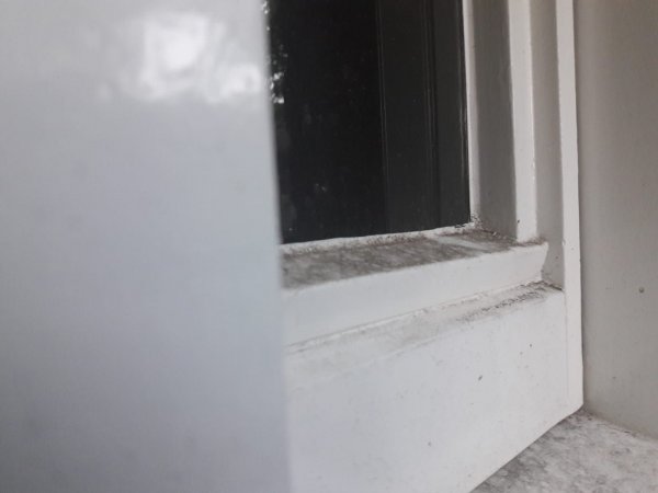 120876_index_1.jpg