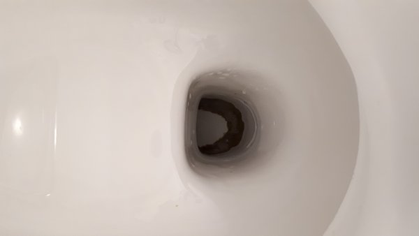 121111_20180822_134120_2.jpg