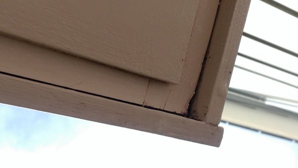 121121_20180824_180440_HDR_1.jpg