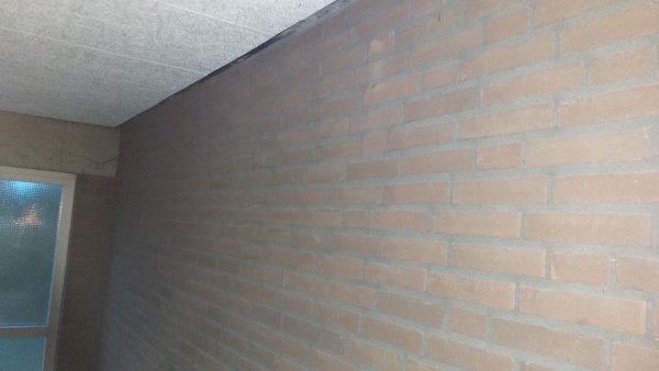 121345_9_1.jpg