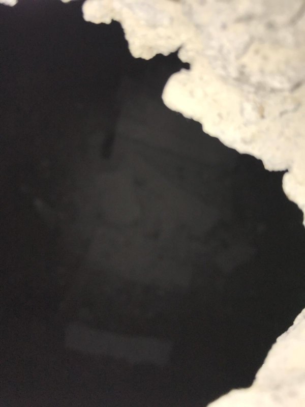 121355_10DBEFCC0AD14CFFB7D0CDD2A4F4AED0_1.jpg