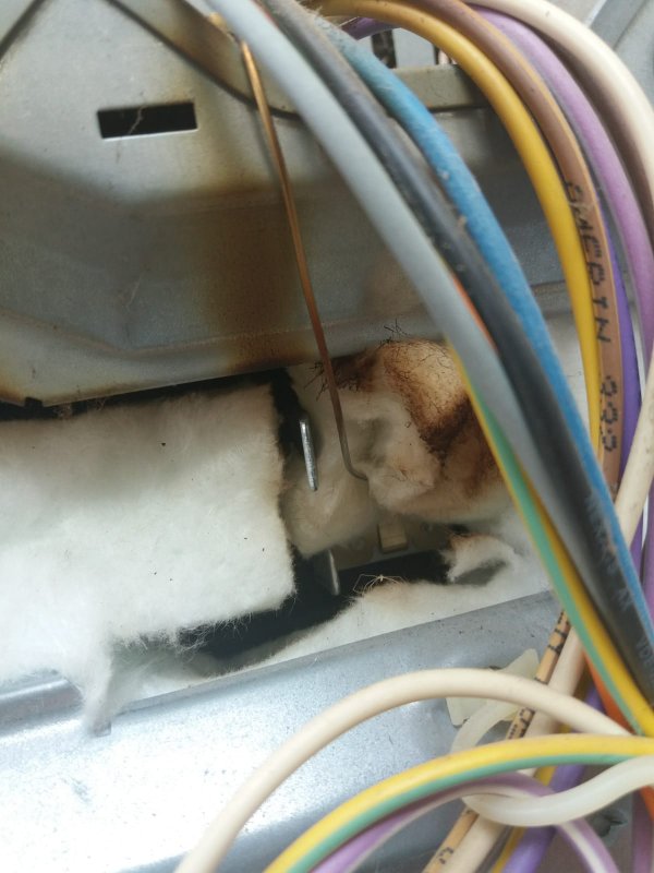 12147_oven_2__2.jpg