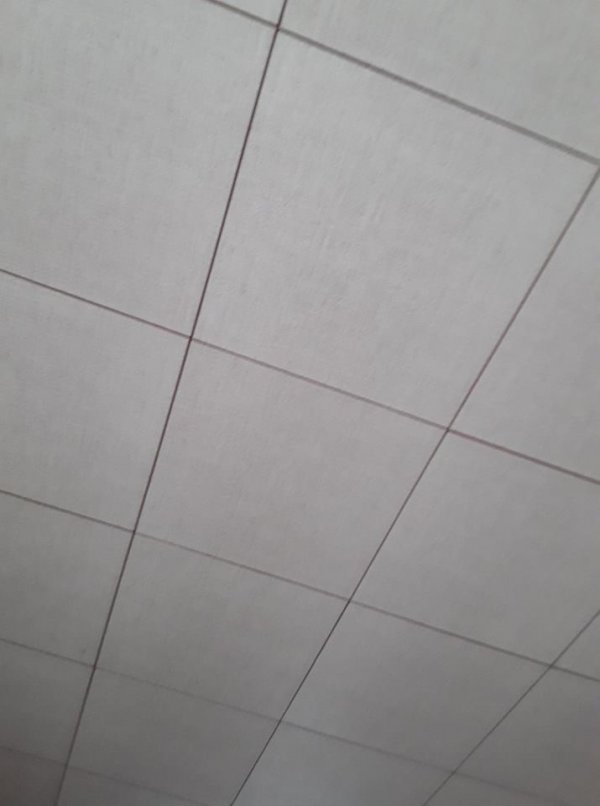 121520_plafond_1.jpg