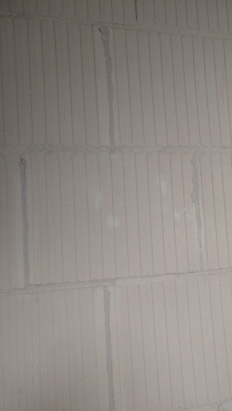 121580_20190816_121317_HDR_4.jpg