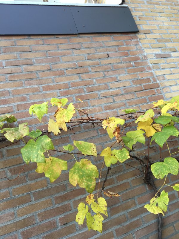 121783_IMG_3435_1.jpg
