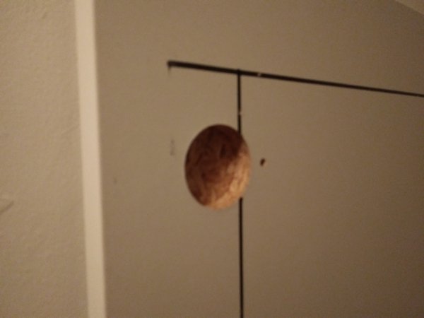 121870_20181111_194950_3.jpg