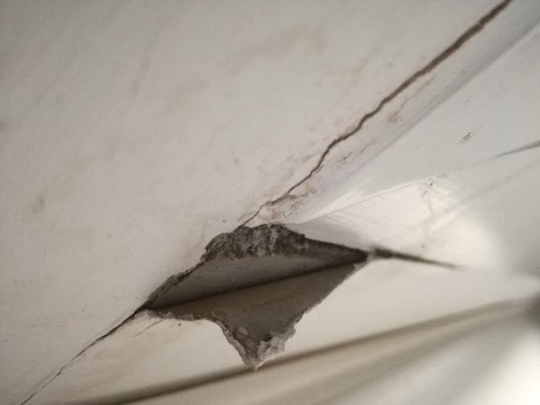 122138_Schade_close_1.jpg