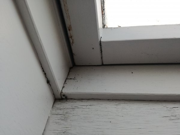 122138_schade_2_1.jpg