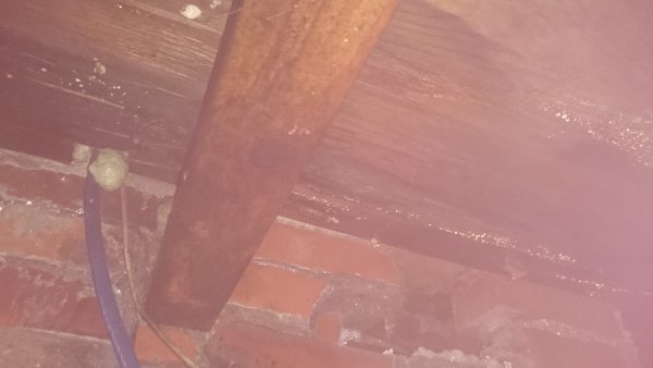122230_DSC_0629_1.jpg