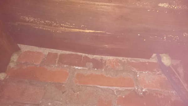 122230_IMG_6693_1.jpg