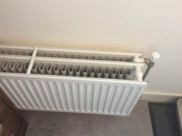kan zijn Verleden Mediaan Nieuwe radiator bij een lage temperatuur | KLUSIDEE.NL