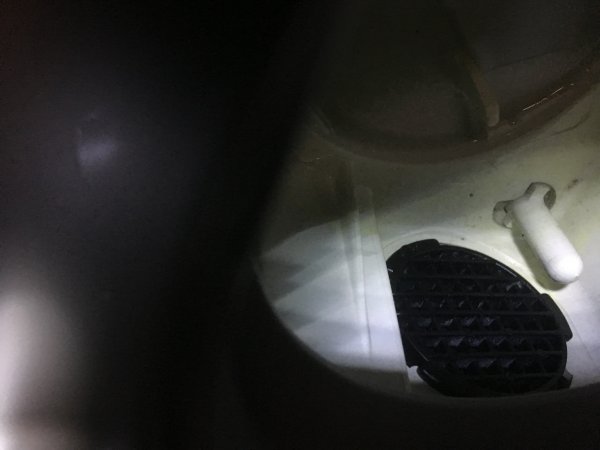 122351_IMG_27901_1.jpg