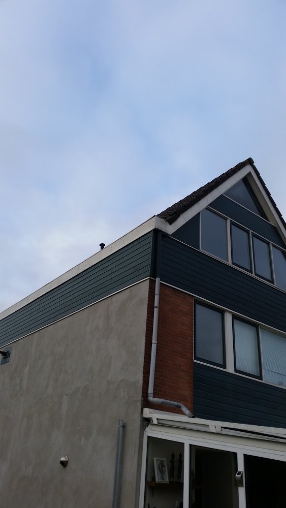 122446_buitenachterhoek_2.jpg