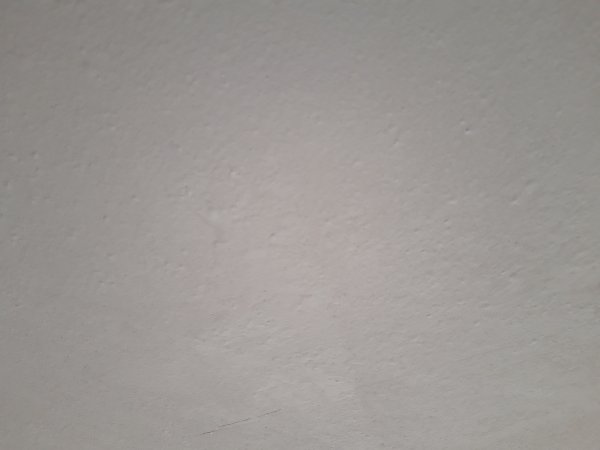 122492_20190215_101308_3.jpg