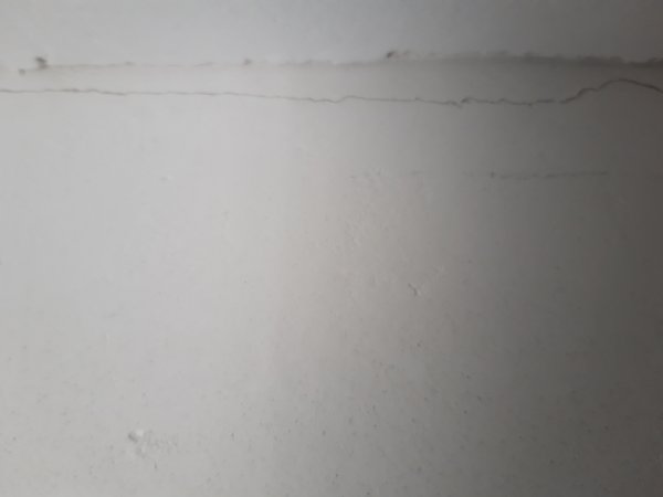 122492_20190215_103538_1.jpg