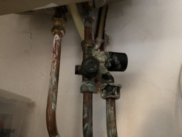 122508_IMG_2094_2.jpg