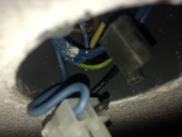 122540_IMG_5237_1.jpg