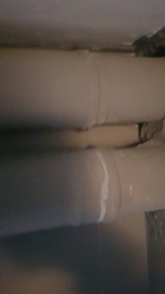 122705_20190202_105133_2.jpg