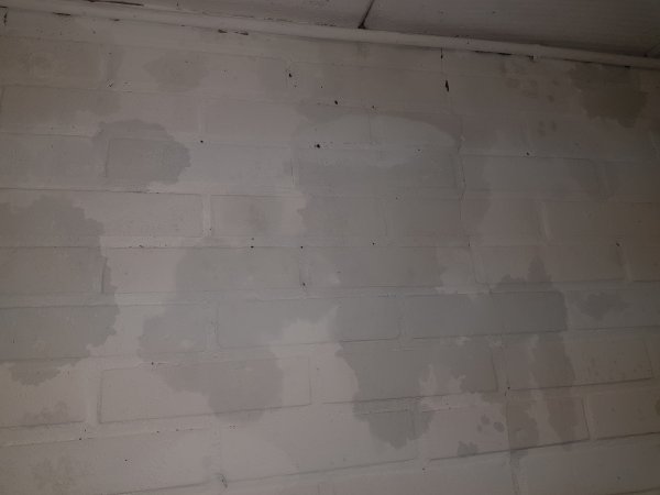 122775_20190401_170240_1.jpg