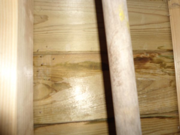 122786_DSC02787_1.jpg