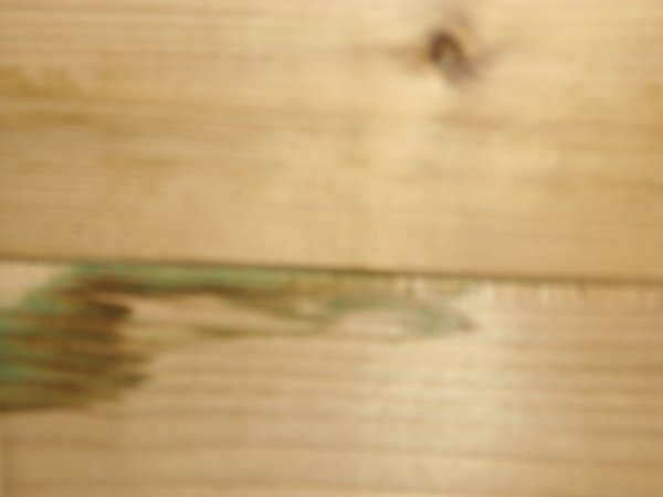 122786_DSC02789_1.jpg