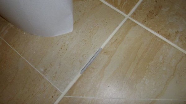 122799_IMGP3092_1.jpg