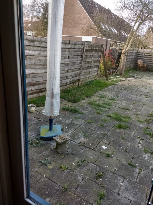 122848_pictuin_1.jpg