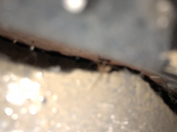 122908_80C62D434B8D4A54AFBCDCFDE783A6D9_1.jpg