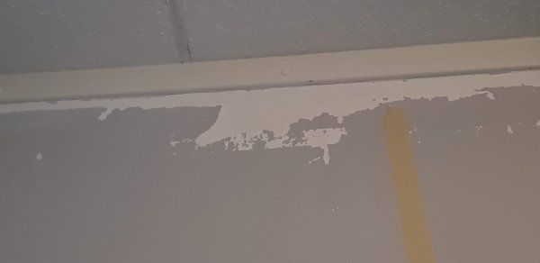 123078_20190305_091606_2.jpg